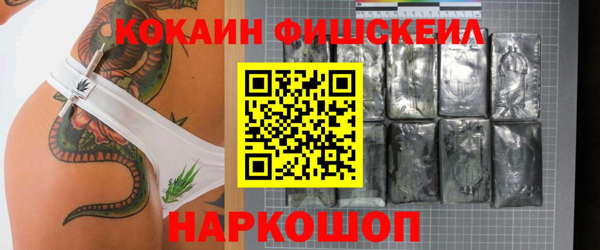 COCAIN Fish Scale  Вход с VPN  Ишим 