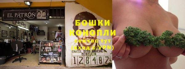 мяу мяу кристалл Няндома