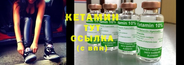 индика Нягань