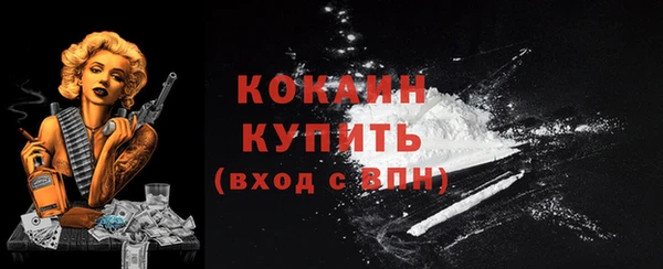 мяу мяу кристалл Няндома