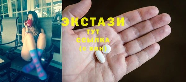 индика Нягань