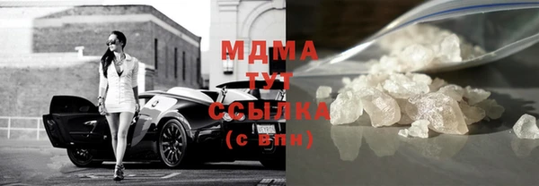 индика Нягань