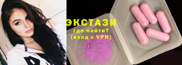 индика Нягань