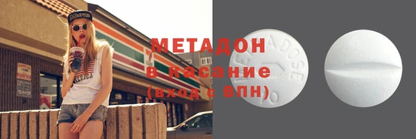 индика Нягань