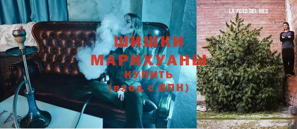 индика Нягань