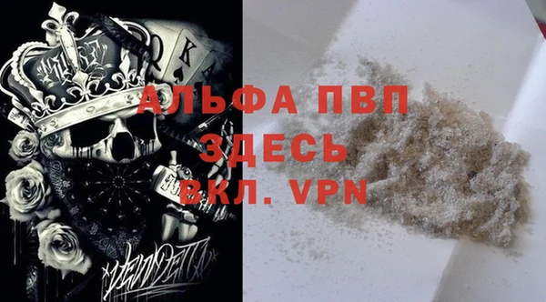 индика Нягань