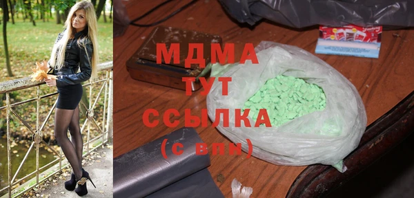 индика Нягань