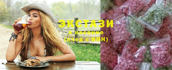индика Нягань