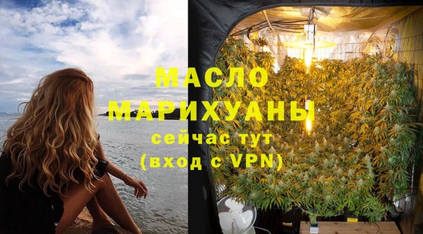 индика Нягань