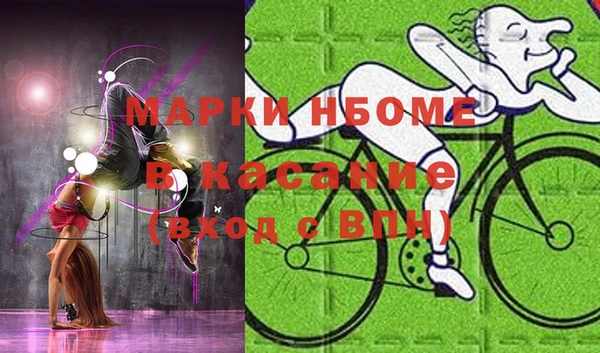 индика Нягань