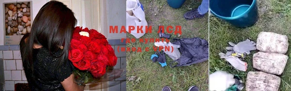 мяу мяу кристалл Няндома