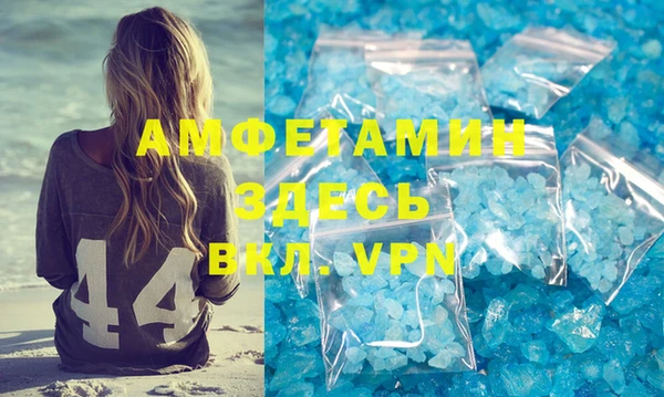 индика Нягань