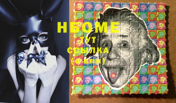 индика Нягань
